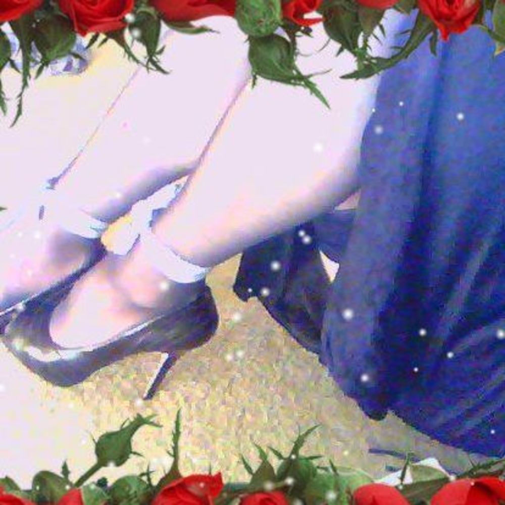 Meet your Posher, Kross